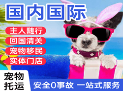 万州五桥机场物流国际宠物托运 【国